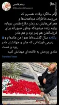 وزیر رئیسی بر سر مزار همسرش/ عکس