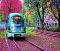 عکس/ زیباترین ایستگاه قطار !