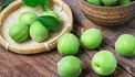 آنچه حکما درباره گوجه‌سبز می‌گویند