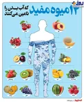 اینفوگرافیک/ 14 میوه مفید که آب بدن را تامین می کنند