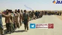 عکس/ تسلیم شدن داعشی ها پیش از آزادی کامل تلعفر