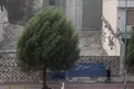 پيش بينی وضع هوا / وزش باد و بارش باران در مسير زائرين اربعين