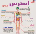 اینفوگرافیک / تأثیر خاموش استرس بر بدن