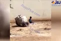 عکسی شوکه کننده از یک کودک کار