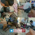 عکس/ انفجار مواد محترقه در منزل مسکونی باقرشهر (+16)