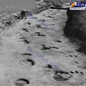 ردپای انسان های غول پیکر در کنار در پای دایناسورها+عکس
