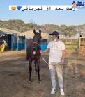 عکس/ سردار در کنار اسب میلیاردی اش!