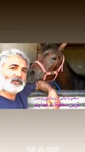 تغییر چهره باورنکردنی بازیگر روزگار جوانی +عکس