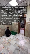 مزار آیت‌الله صافی گلپایگانی در کربلا/عکس