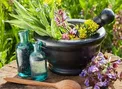 معرفی گیاهان دارویی برای تقویت اعصاب