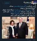 به روباه گفتن شاهدت کیه گفت دُمم +عکس