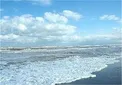 هواشناسی از ورود جریانات خنک به نیمه شمالی خبر داد