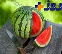 راز و رمزهای خرید یک هندوانه شیرین