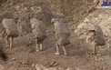 عکس/ استتار سربازان اسرائیلی سوژه شد!