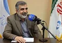 کمالوندی: امسال ۴۰ تن کیک زرد تولید می‌کنیم
