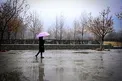 پیش‌بینی بارش پراکنده باران در برخی نقاط کشور/ دمای پایتخت کاهش می‌یابد