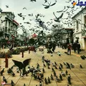 عکس/ اینجا را با اروپا اشتباه نگیرید همان رشت خودمان است