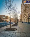 عکس آخرالزمانی از شلوغ ترین خیابان مسکو