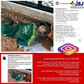عکس/ اشتباه پرویز پرستویی جنجال ساز شد