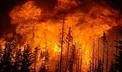 شعله ور شدن دوباره آتش در جنگل‌های رامسر