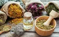 با 10 آنتی بیوتیکِ گیاهی ریشه عفونت ها را در بدنتان را بخشکانید