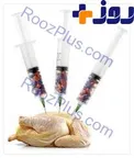هشدار مرغ 1800 گرمی نخرید + علت