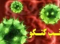 تایید مرگ یک دامدار از شهرستان مانه و سملقان بر اثر تب کریمه کنگو