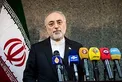 صالحی: پوتین چهارشنبه این هفته سفری به ایران دارند