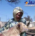 همسر رئیس جمهور در حال بازی با توله شیر! +عکس