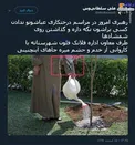 نکته‌ای جالب از درختکاری رهبرانقلاب +عکس