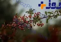 هشدار هواشناسی برای بازگشت موج بارشی به کشور!
