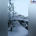 عکس/ رخت سفید بر تن سقز