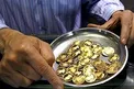 مهریه‌ها با کدام نرخ دلار محاسبه می‌شوند؟