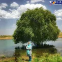 عکس خانم بازیگر در یک منظره فوق العاده دیدنی+ عکس