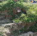 عکس/ نمایان شدن مین پس از بارش اخیر در قصرشیرین