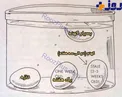 از کجا بفهمیم تخم مرغ ها سالم اند؟!
