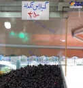عکس/ یارانه هر ایرانی، یک کیلو گیلاس!