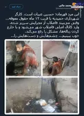 معنای واقعی شرافت +عکس