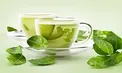 تاثیر چای سبز در مقابله با ۲ سرطان رایج در مردان و زنان