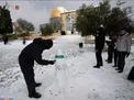 تصویری جالب از صحن مسجدالاقصی