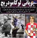 چوپانی لوکامودریچ+عکس