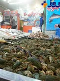 فروش خرچنگ دریایی در تهران +عکس