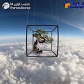 ژاپن یک درخت بونسای به مدار صفر درجه فرستاده است+عکس