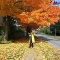 عکس پاییزی زیبای خانم بازیگر در خارج از کشور