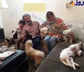 حیوانات خانگی عجیب بازیگر مشهور + عکس