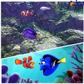 ماهی های نمو و دوری در دنیای واقعی!