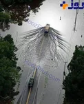 عکس جالب عکاس Ap از سیل اخیر در ایالت لوئیزیانای آمریکا