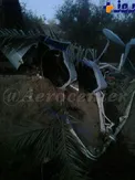 فوري/ اولين تصوير از هواپيماي سپاه كه امروز سقوط كرد
