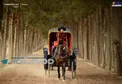 مهتاب کرامتی سوار بر کالسکه + عکس