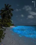 عکس/ اقیانوسی پر از ستاره